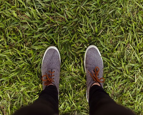 Close up of a person feet in comfortable shoes walking along an outdoor urban trail surrounded by grass
