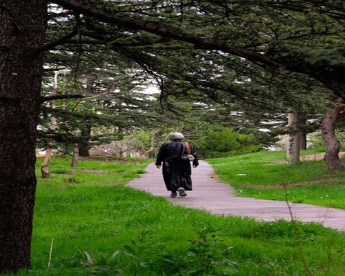 A relaxed person walking gently through an urban green park in Santiago
